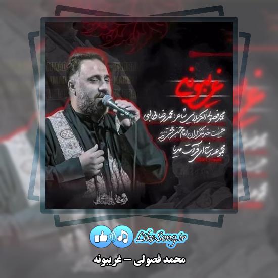 دانلود نماهنگ محمد فصولی غریبونه